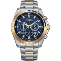 Citizen Quartz Chronograph – Stainless Steel Bracelet (Ref: AN8206-53L)